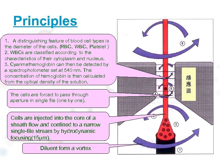 Principles 1. A distinguishing feature of blood cell types is the diameter of the