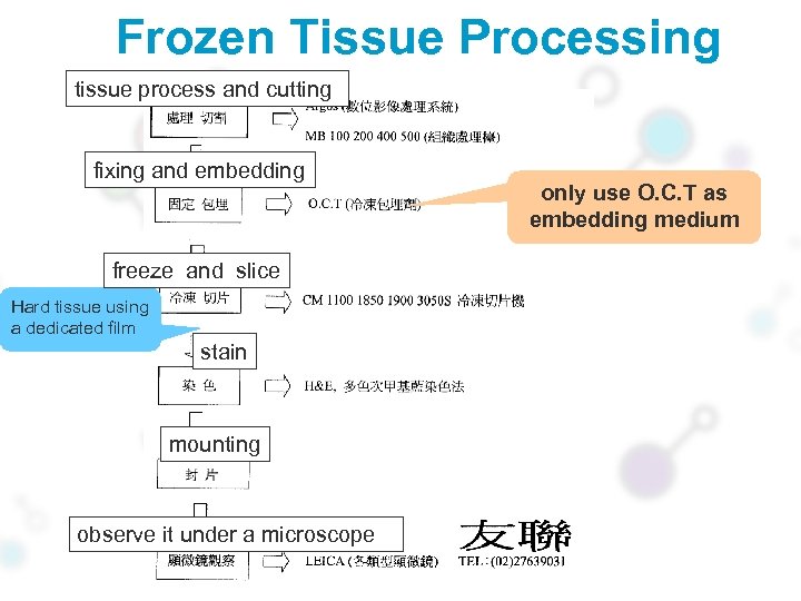 Frozen Tissue Processing tissue process and cutting fixing and embedding freeze and slice Hard