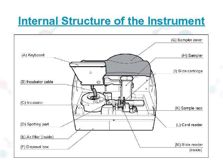 Internal Structure of the Instrument 