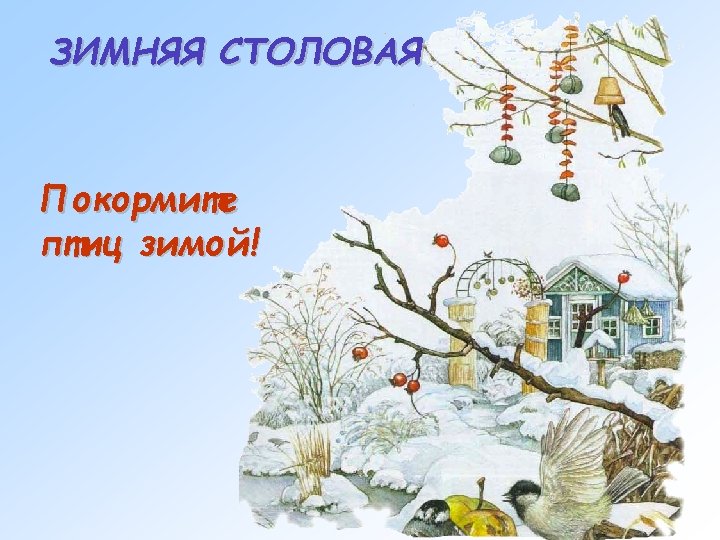 ЗИМНЯЯ СТОЛОВАЯ Покормите птиц зимой! 