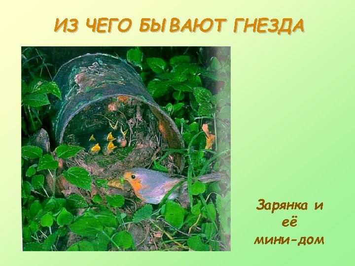 ИЗ ЧЕГО БЫВАЮТ ГНЕЗДА Зарянка и её мини-дом 