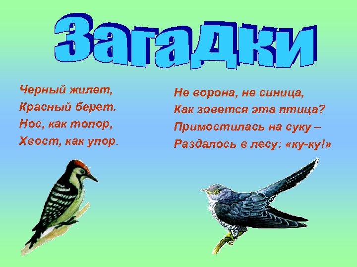 Черный жилет, Красный берет. Нос, как топор, Хвост, как упор. Не ворона, не синица,