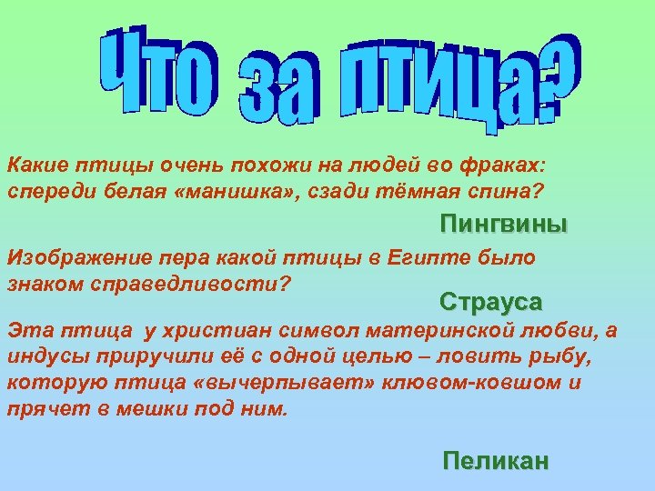 Какие птицы очень похожи на людей во фраках: спереди белая «манишка» , сзади тёмная