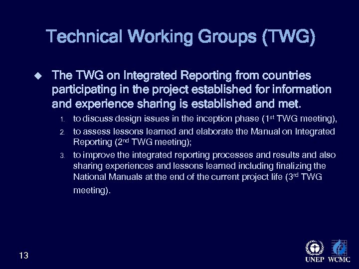 Technical Working Groups (TWG) u The TWG on Integrated Reporting from countries participating in