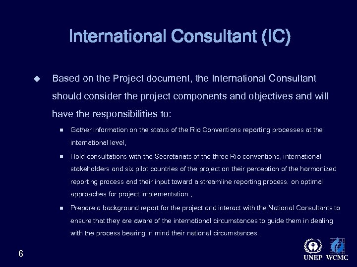 International Consultant (IC) u Based on the Project document, the International Consultant should consider