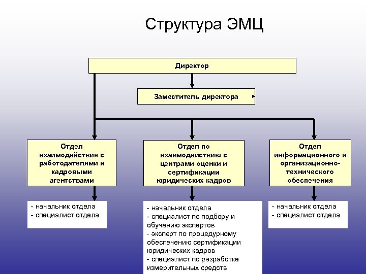 Структура ЭМЦ Директор Заместитель директора Отдел взаимодействия с работодателями и кадровыми агентствами - начальник