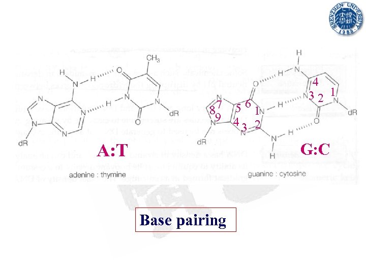 7 561 8 9 4 3 2 4 32 1 G: C A: T