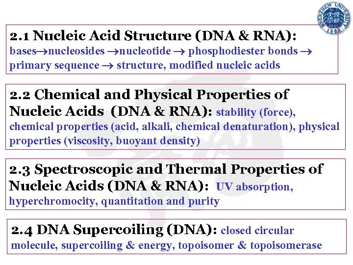 2. 1 Nucleic Acid Structure (DNA & RNA): bases nucleosides nucleotide phosphodiester bonds primary
