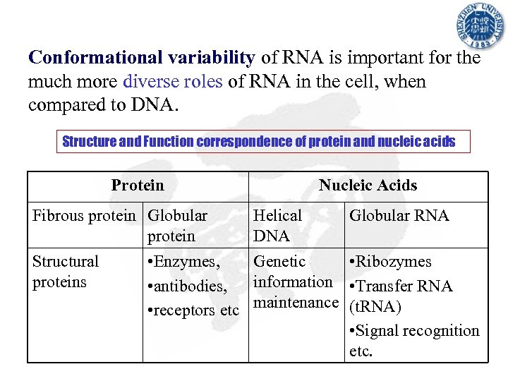 Conformational variability of RNA is important for the much more diverse roles of RNA