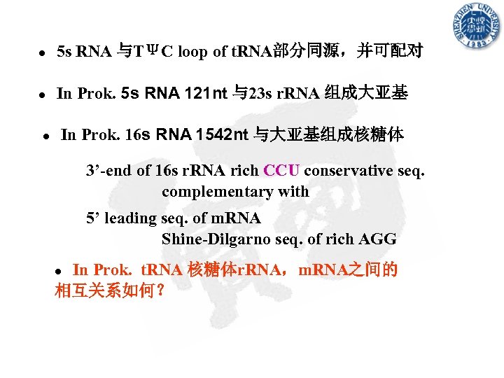 ● 5 s RNA 与TΨC loop of t. RNA部分同源，并可配对 ● In Prok. 5 s