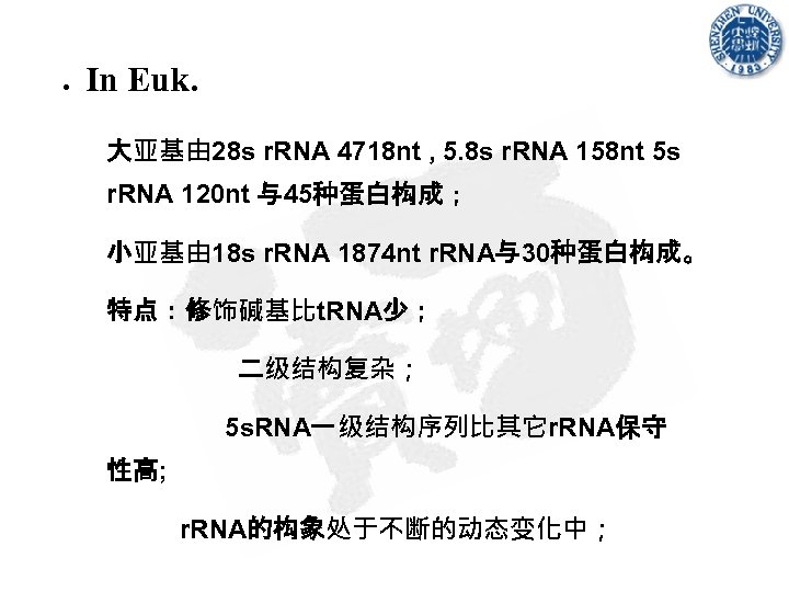● In Euk. 大亚基由 28 s r. RNA 4718 nt , 5. 8 s
