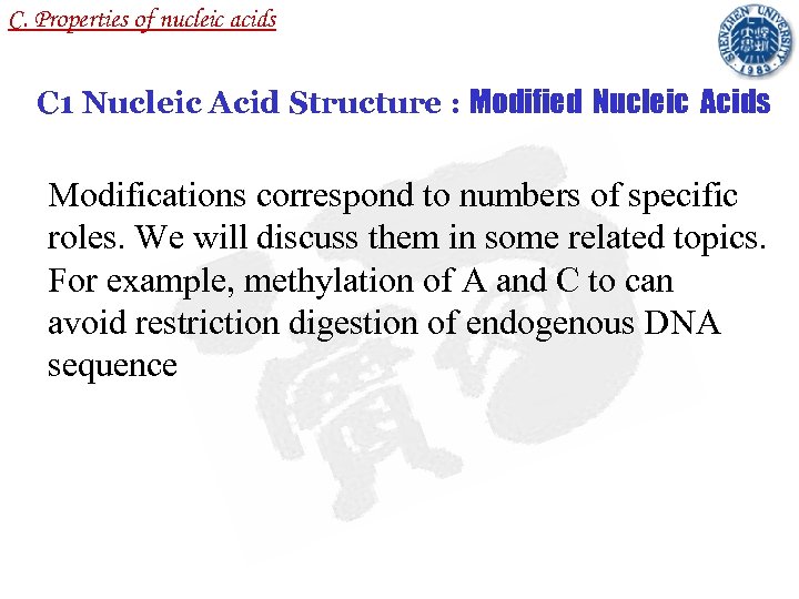 C. Properties of nucleic acids C 1 Nucleic Acid Structure : Modified Nucleic Acids
