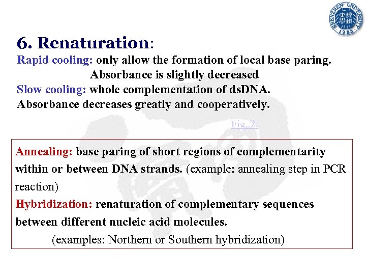 6. Renaturation: Rapid cooling: only allow the formation of local base paring. Absorbance is