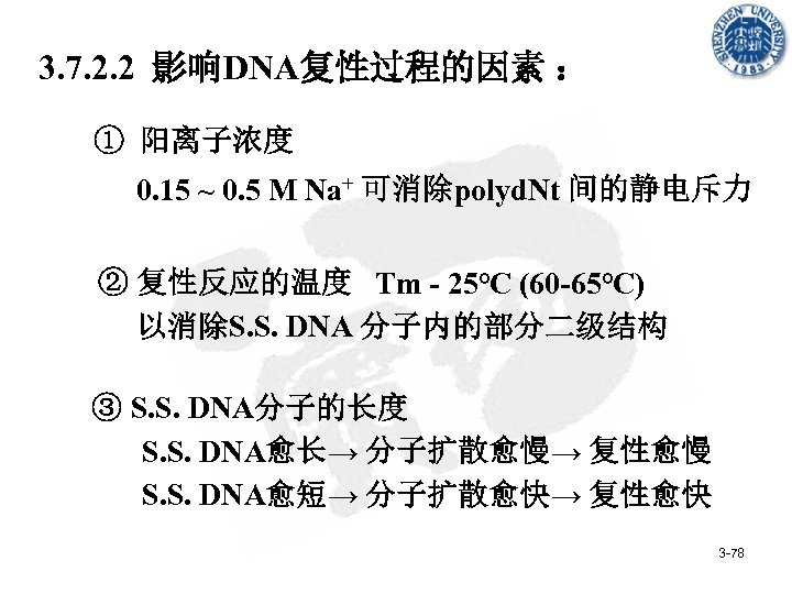  3. 7. 2. 2 影响DNA复性过程的因素 ： ① 阳离子浓度 0. 15 ~ 0. 5