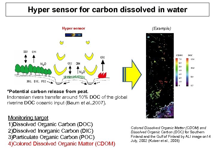 Hyper sensor for carbon dissolved in water Hyper sensor (Example) N 2 O *Potential