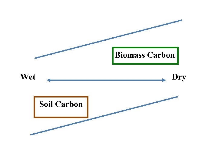 Biomass Carbon Wet Dry Soil Carbon 
