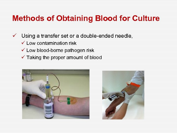 Blood Culture In Sepsis Prof MD Ahmet Başustaoğlu