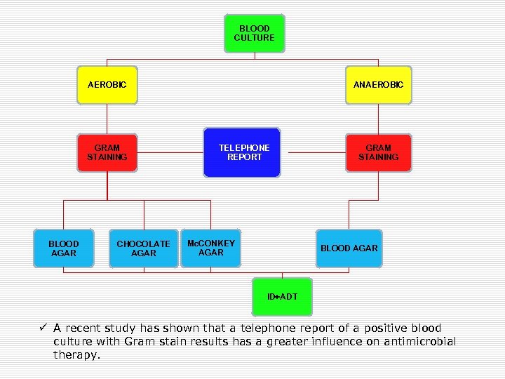 BLOOD CULTURE AEROBIC GRAM STAINING BLOOD AGAR CHOCOLATE AGAR ANAEROBIC TELEPHONE REPORT Mc. CONKEY