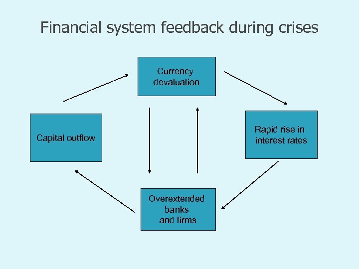 Financial system feedback during crises Currency devaluation Rapid rise in interest rates Capital outflow
