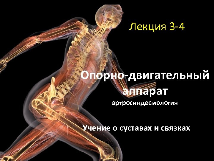 Лекция 3 -4 Опорно-двигательный аппарат артросиндесмология Учение о суставах и связках 