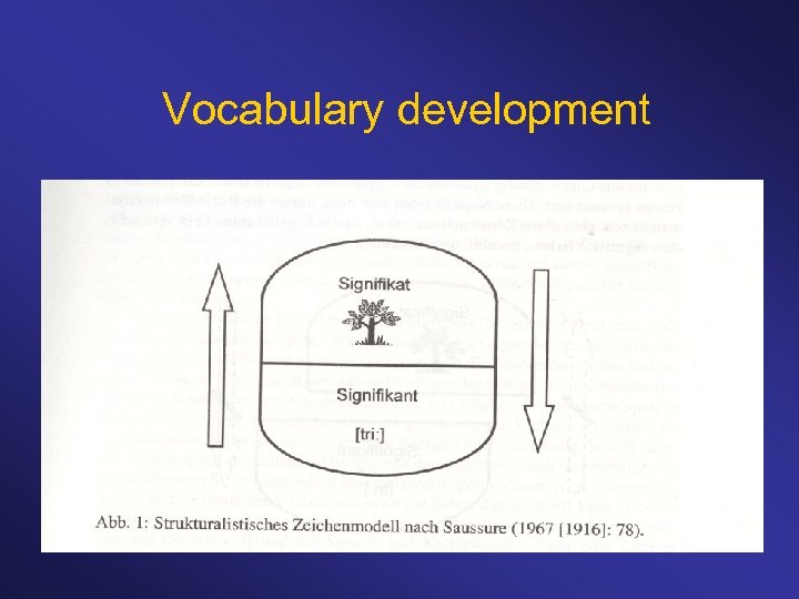 Vocabulary development What do children need to understand in order to learn words? 