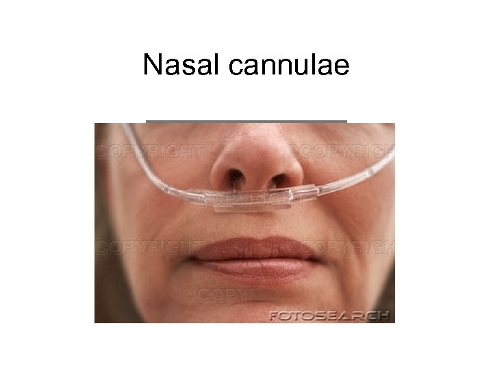 Nasal cannulae 