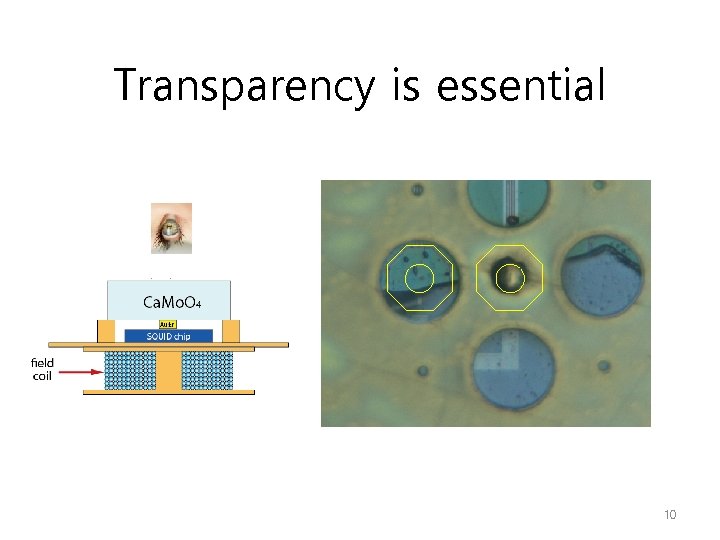 Transparency is essential 10 