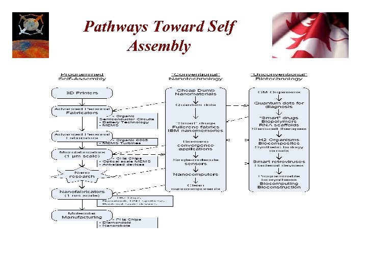 Pathways Toward Self Assembly 