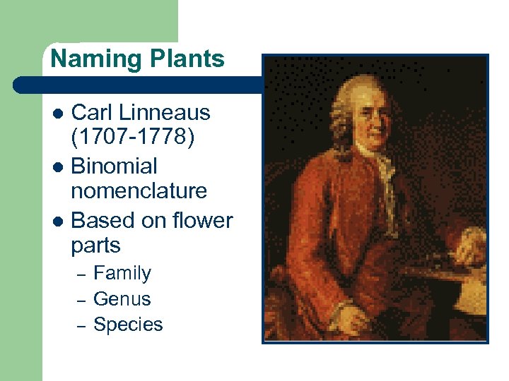 Naming Plants Carl Linneaus (1707 -1778) l Binomial nomenclature l Based on flower parts