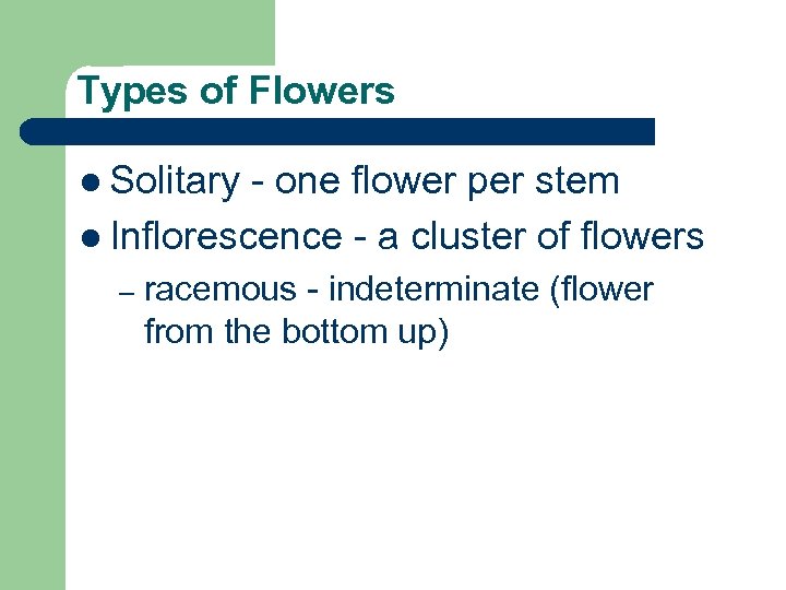 Types of Flowers l Solitary - one flower per stem l Inflorescence - a