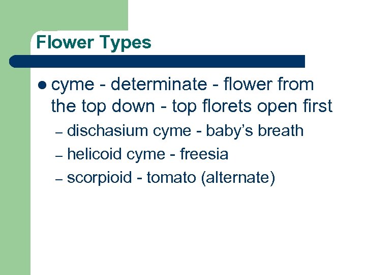 Flower Types l cyme - determinate - flower from the top down - top