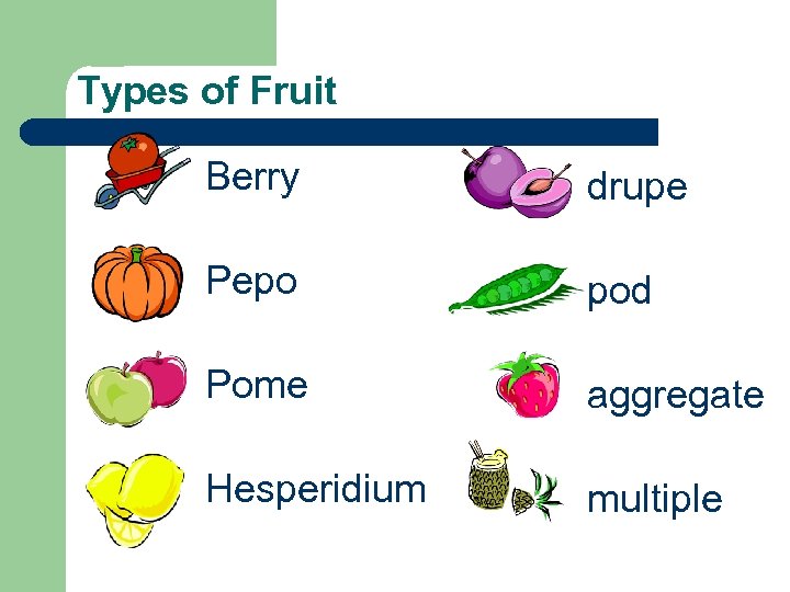 Types of Fruit Berry drupe Pepo pod Pome aggregate Hesperidium multiple 
