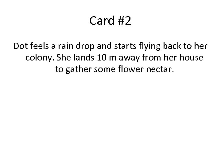 Card #2 Dot feels a rain drop and starts flying back to her colony.