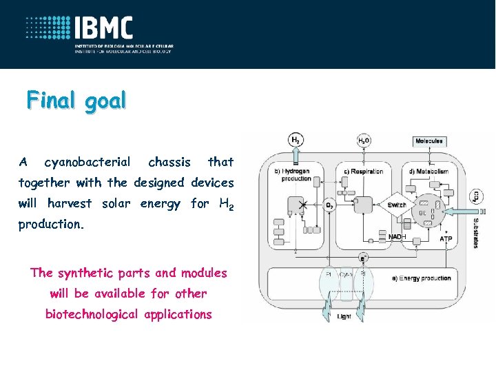 Final goal A cyanobacterial chassis that together with the designed devices will harvest solar