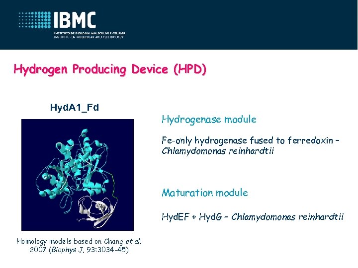 Hydrogen Producing Device (HPD) Hyd. A 1_Fd Hydrogenase module Fe-only hydrogenase fused to ferredoxin