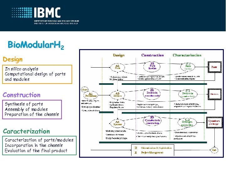 Bio. Modular. H 2 Design In silico analysis Computational design of parts and modules