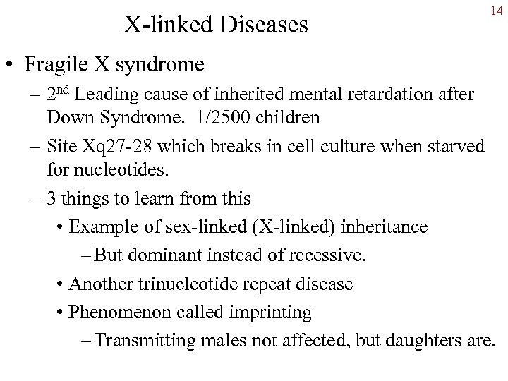 X-linked Diseases 14 • Fragile X syndrome – 2 nd Leading cause of inherited