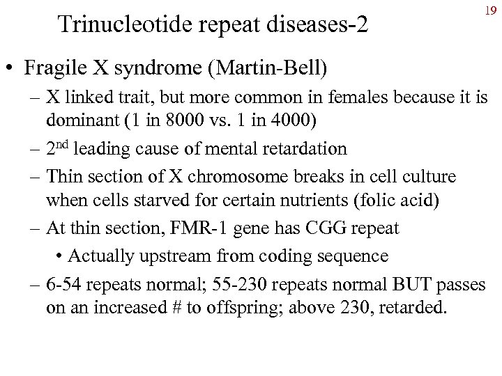 Trinucleotide repeat diseases-2 19 • Fragile X syndrome (Martin-Bell) – X linked trait, but