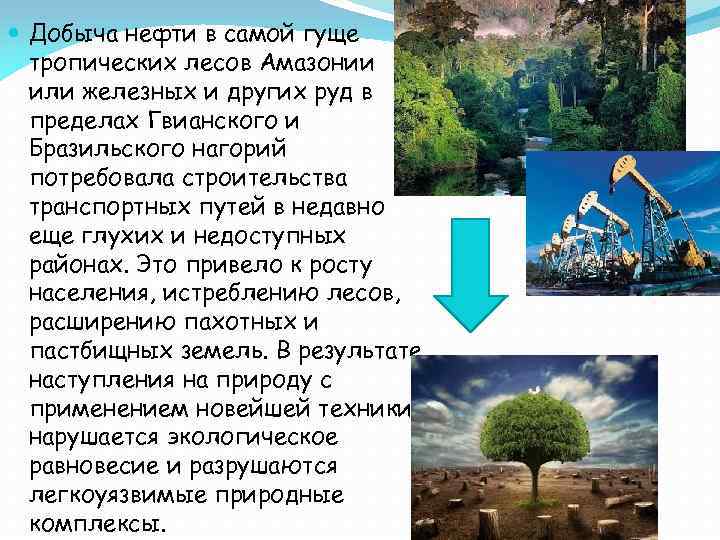  Добыча нефти в самой гуще тропических лесов Амазонии или железных и других руд