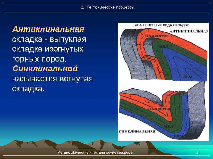 2. Тектонические процессы Антиклинальная складка - выпуклая складка изогнутых горных пород. Синклинальной называется вогнутая