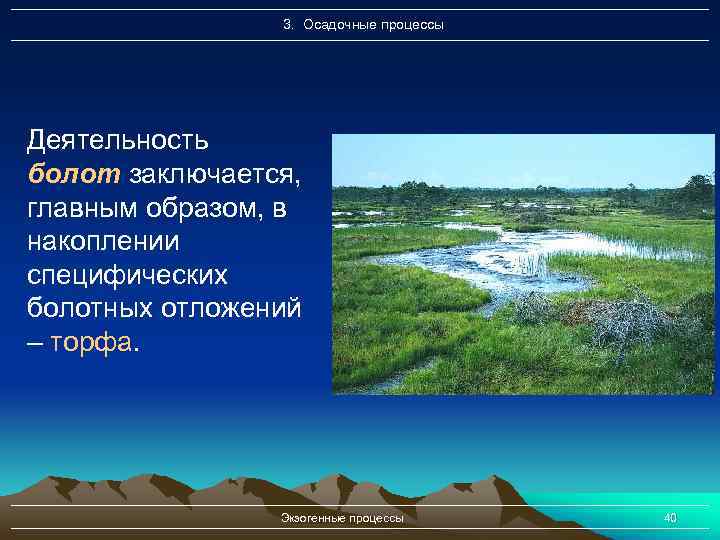 3. Осадочные процессы Деятельность болот заключается, главным образом, в накоплении специфических болотных отложений –