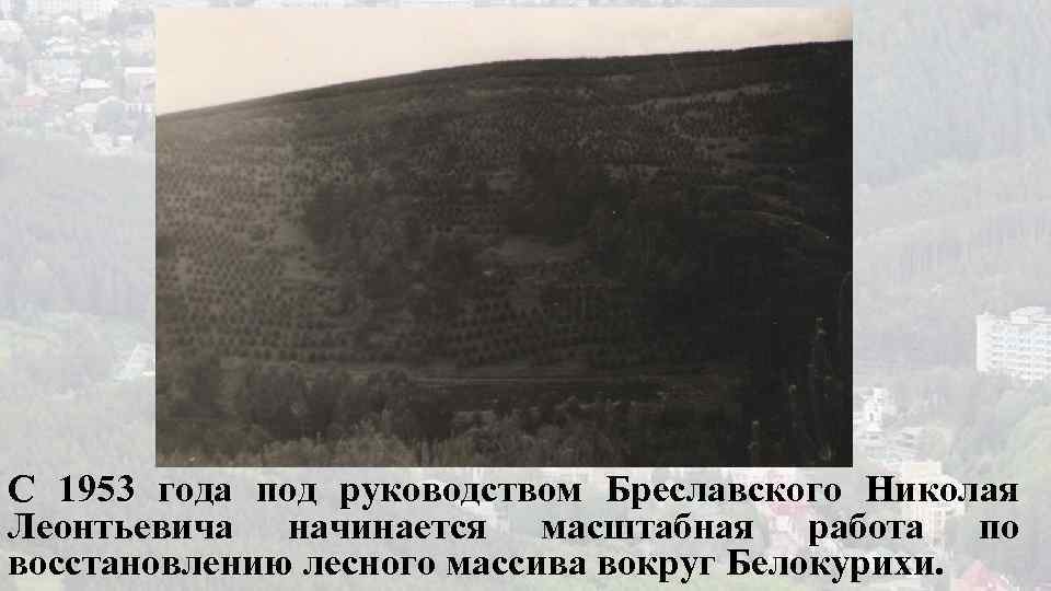 С 1953 года под руководством Бреславского Николая Леонтьевича начинается масштабная работа по восстановлению лесного