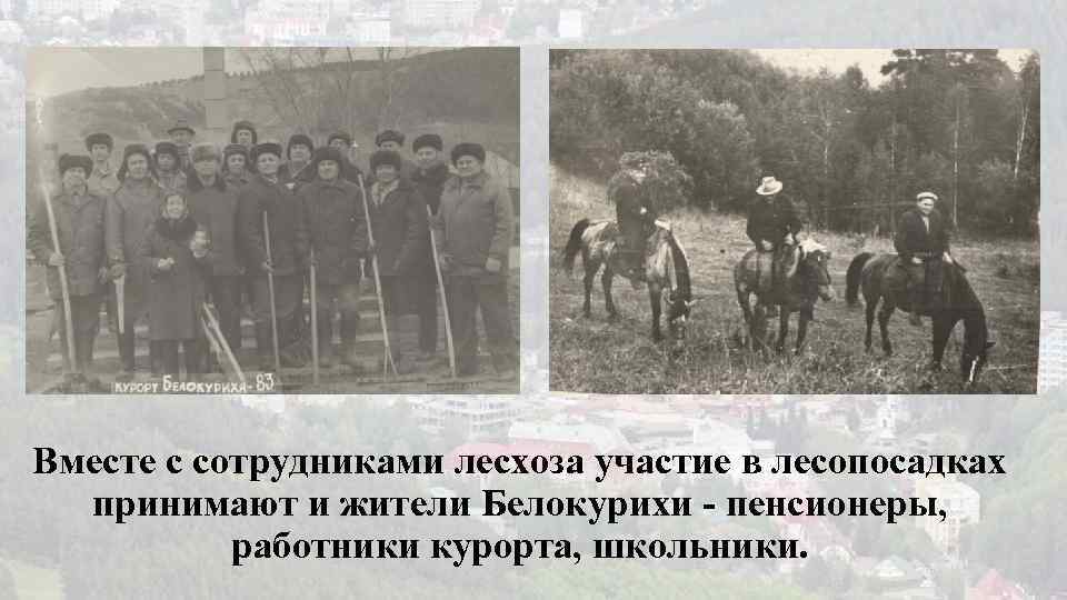 Вместе с сотрудниками лесхоза участие в лесопосадках принимают и жители Белокурихи - пенсионеры, работники