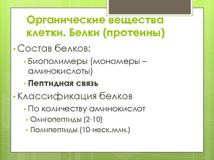 Органические вещества клетки. Белки (протеины) • Состав белков: Биополимеры (мономеры – аминокислоты) • Пептидная