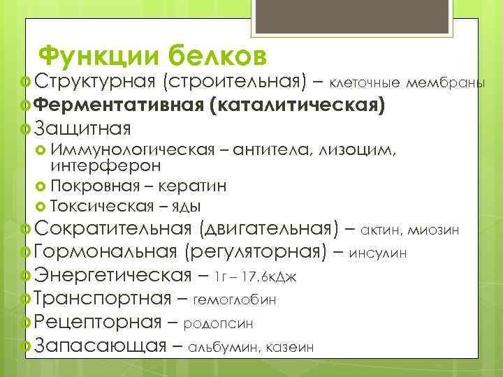 Функции белков Структурная (строительная) – клеточные мембраны Ферментативная (каталитическая) Защитная Иммунологическая – антитела, лизоцим,