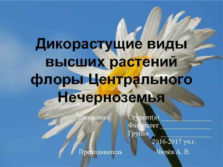 Дикорастущие виды высших растений флоры Центрального Нечерноземья Выполнил Преподаватель Студент(а) ________ Факультет ________ Группа