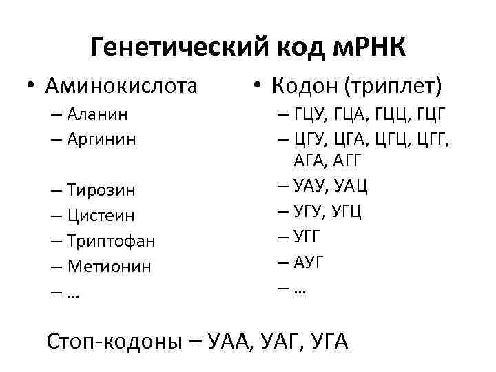 Генетический код м. РНК • Аминокислота – Аланин – Аргинин – Тирозин – Цистеин