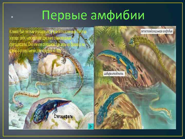  • Первые амфибии 