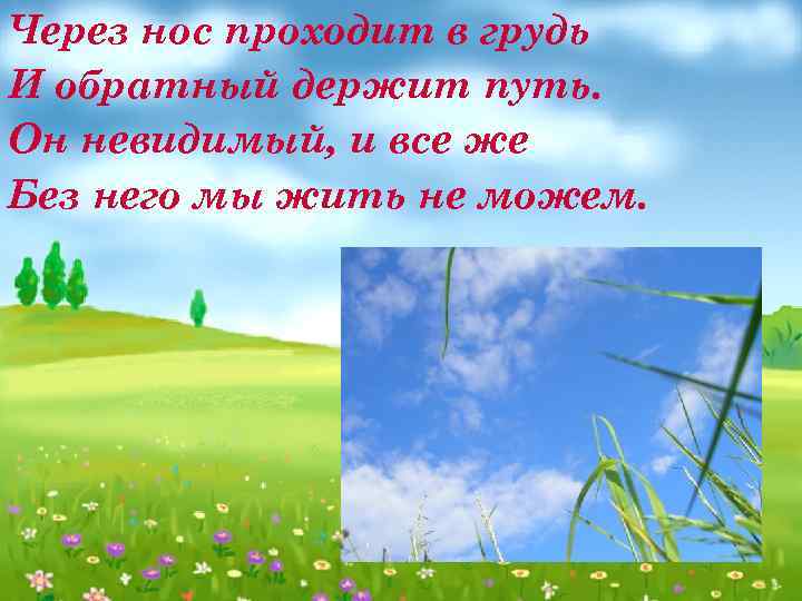 Через нос проходит в грудь И обратный держит путь. Он невидимый, и все же