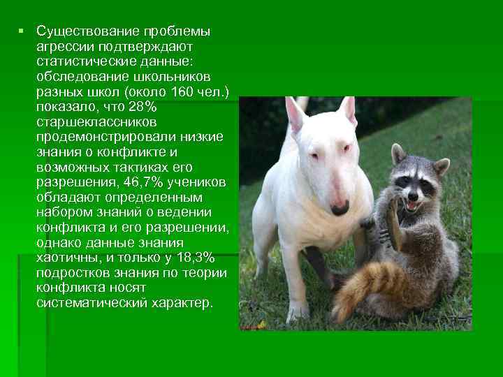 § Существование проблемы агрессии подтверждают статистические данные: обследование школьников разных школ (около 160 чел.